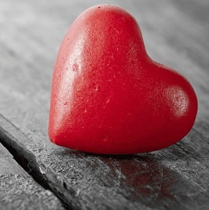 b56fef34ce6c20943695b82138e90a45