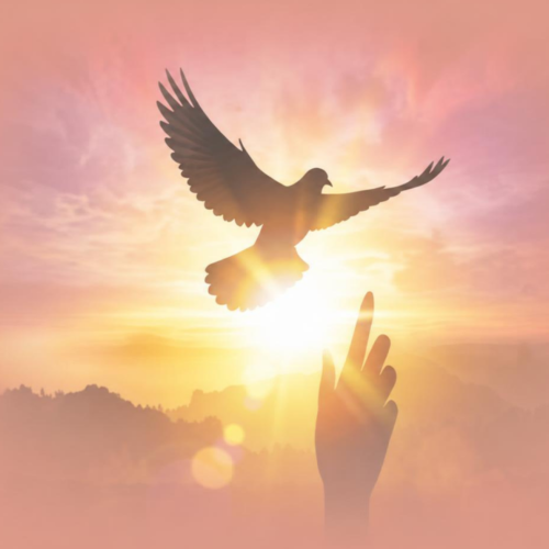Pentecostés 26